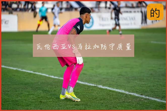 瓦伦西亚vs马拉加防守质量